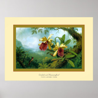 Orchids and Hummingbird~ Martin Johnson Heade Poster