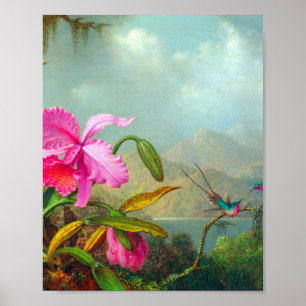 Orchids and Hummingbirds by Martin Johnson Heade  Poster