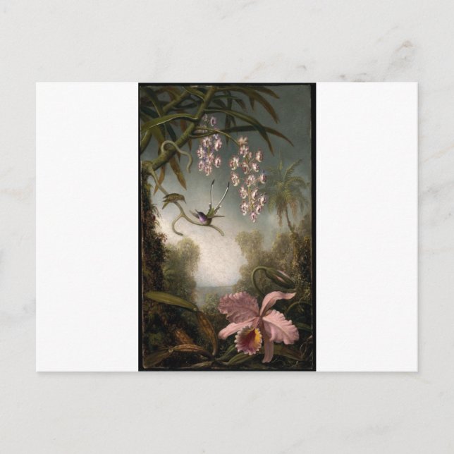 Orchids and Spray Orchids with Hummingbird by Mart Postcard (Front)
