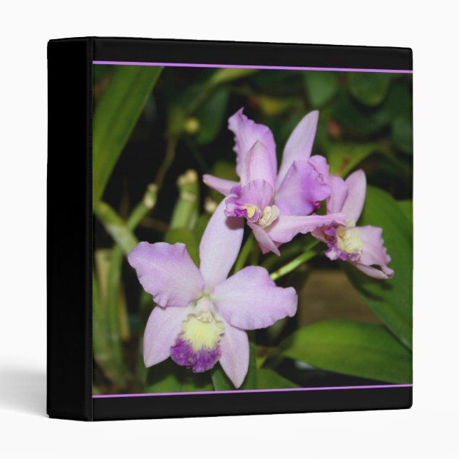 Orchids binder (Front/Spine)