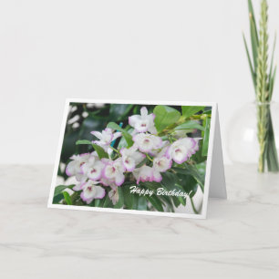 Orchids Birthday Card