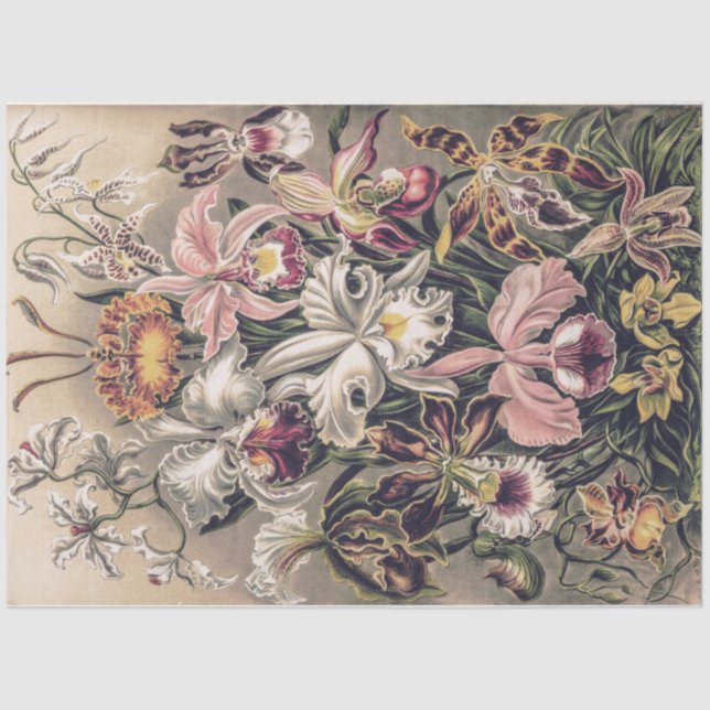Orchids by Ernst Haeckel Decoupage Tissue Paper (Front)