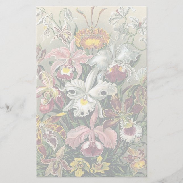 Orchids by Ernst Haeckel Stationery (Front)