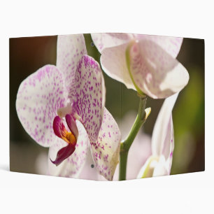 Orchids by Shirley Taylor Binder