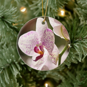 Orchids by Shirley Taylor Ceramic Ornament