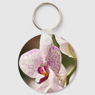 Orchids by Shirley Taylor Keychain