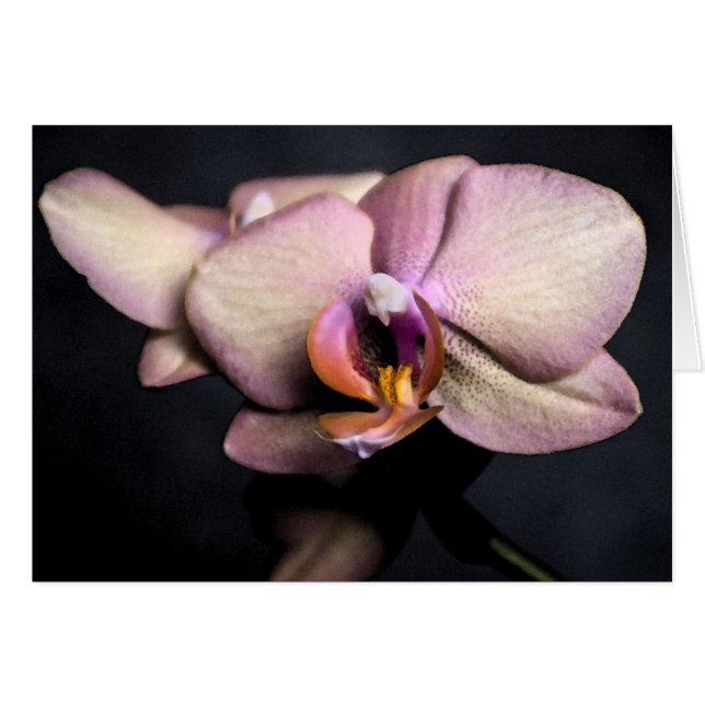 orchids card (Front Horizontal)