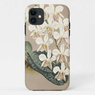 Orchids iPhone 11 Case