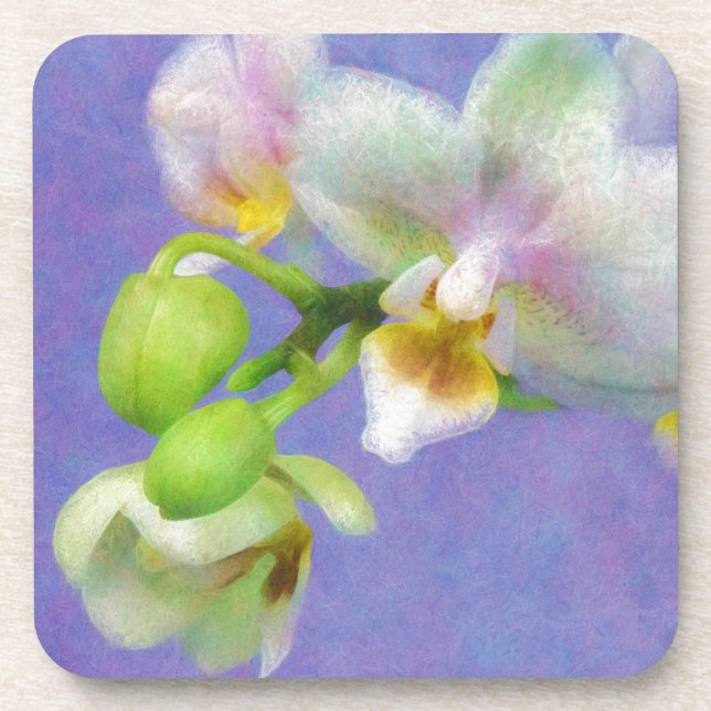 Orchids Coaster (Front)
