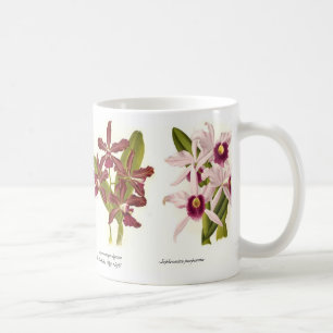 Orchids Coffee Mug