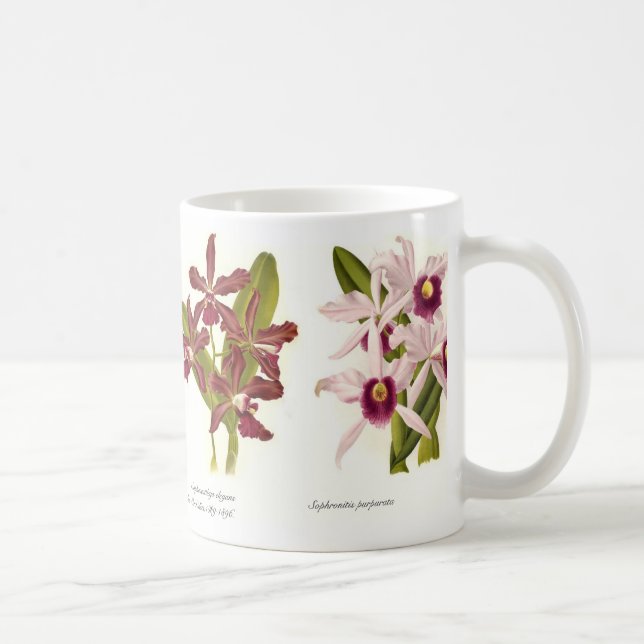 Orchids Coffee Mug (Right)