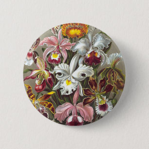 Orchids Ernst Haeckel Fine Art 2 Inch Round Button