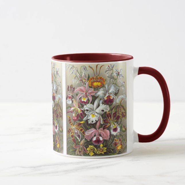 Orchids Ernst Haeckel Fine Art Mug (Right)