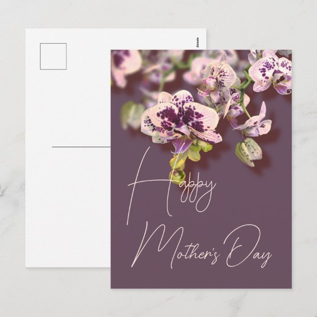 Orchids Floral Happy Mother’s Day      Holiday Postcard (Front/Back)