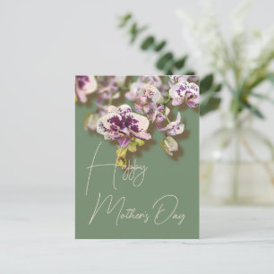 Orchids Floral Happy Mother’s Day     Holiday Postcard