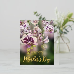 Orchids Floral Happy Mother’s Day Real Gold  Foil Holiday Postcard