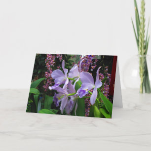 Orchids Greeting Card