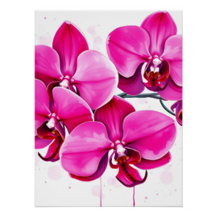 Orchids in Magenta and Purple Poster