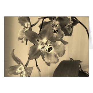orchids in sepia tone