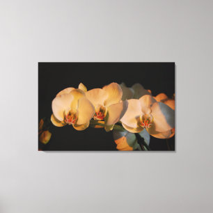 orchids in the sunset canvas print