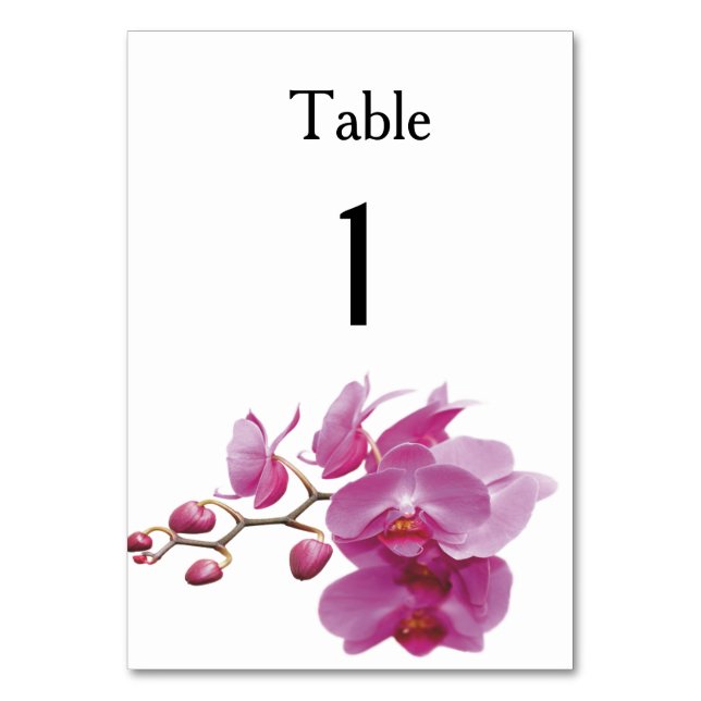 Orchids Inexpensive Wedding Packages Sets Kits Table Number (Front)