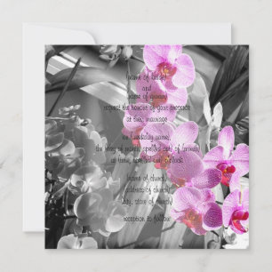 Orchids invitation