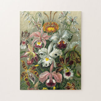 Orchids Jigsaw Puzzle