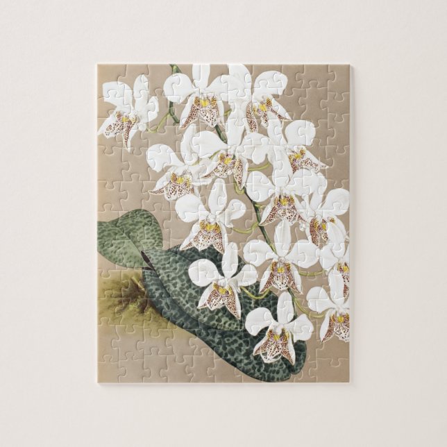 Orchids Jigsaw Puzzle (Vertical)
