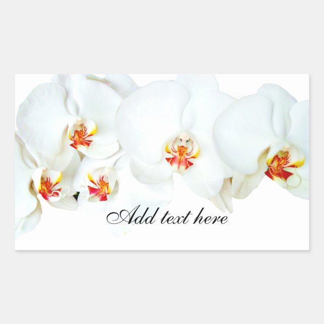 Orchids Love_ Sticker (Front)