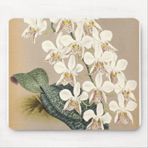 Orchids Mouse Pad