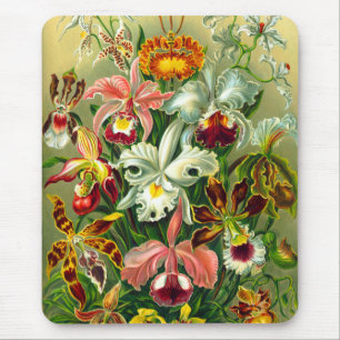 Orchids Mouse Pad