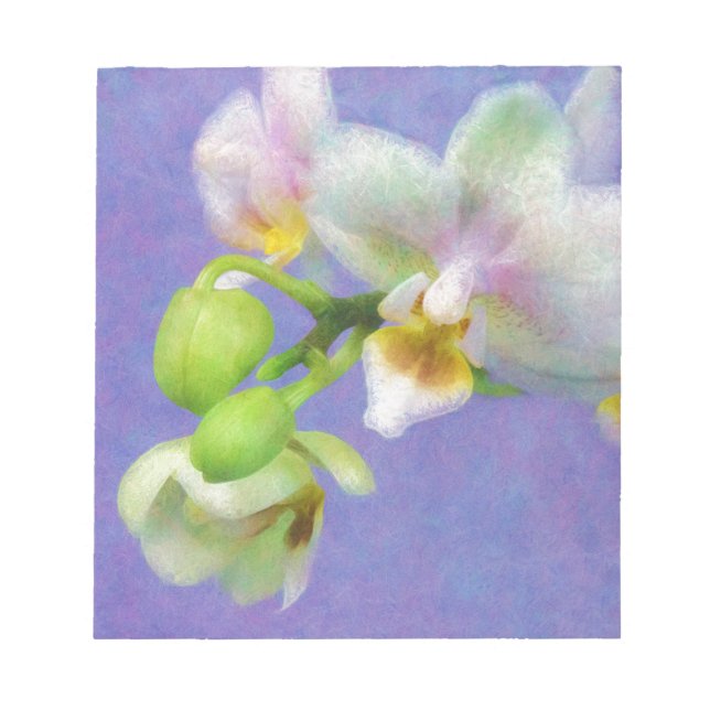 Orchids Notepad (Front)