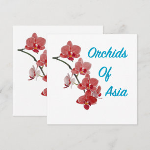Orchids of Asia Day Spa
