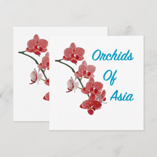 Orchids of Asia Day Spa (Front/Back)
