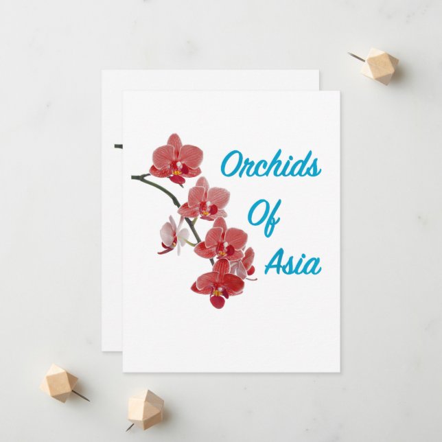 Orchids of Asia Day Spa Announcement (Front/Back In Situ)