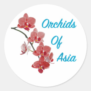 Orchids of Asia Day Spa Classic Round Sticker