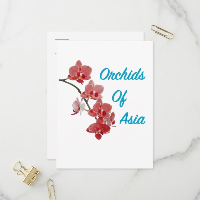Orchids of Asia Day Spa Invitation Postcard (Front/Back In Situ)