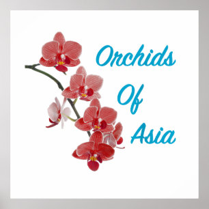 Orchids of Asia Day Spa Poster