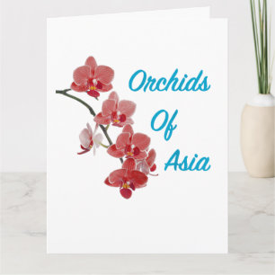 Orchids of Asia Day Spa Thank You Card