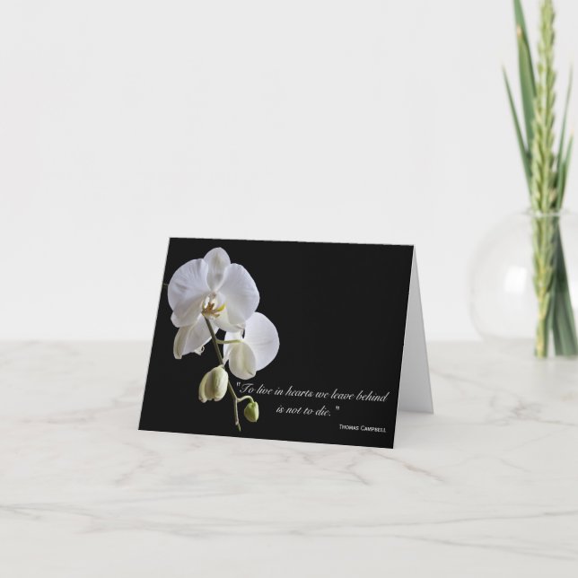 Orchids on Black Thank You for Your Sympathy (Front)