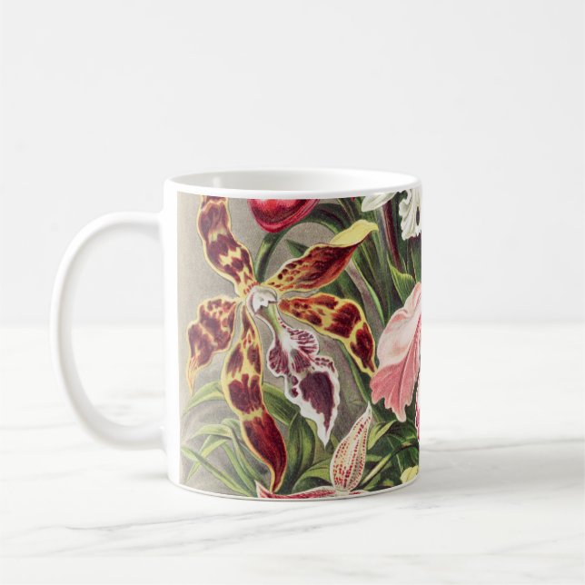 Orchids, Orchideae Denusblumen by Ernst Haeckel Coffee Mug (Left)