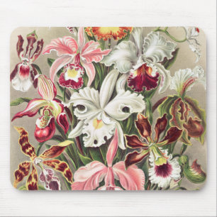 Orchids, Orchideae Denusblumen by Ernst Haeckel Mouse Pad