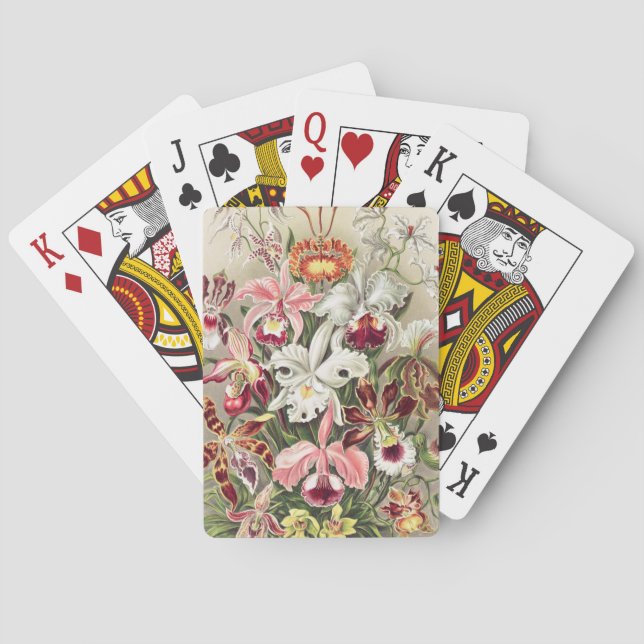 Orchids, Orchideae Denusblumen by Ernst Haeckel Playing Cards (Back)