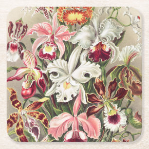 Orchids, Orchideae Denusblumen by Ernst Haeckel Square Paper Coaster