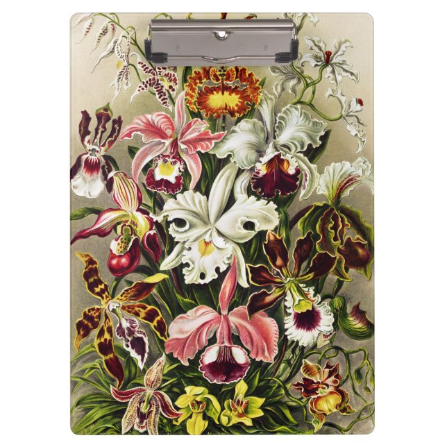 Orchids, Orchideae Denusblumen Ernst Haeckel Clipboard (Front)