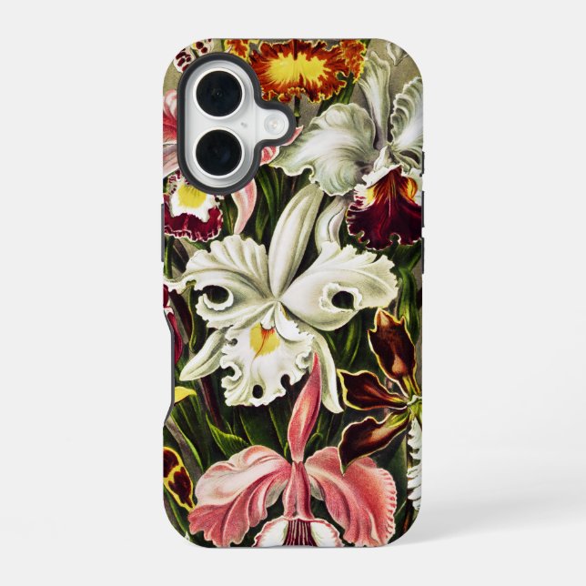 Orchids, Orchideae Denusblumen Ernst Haeckel  iPhone 16 Case (Back)