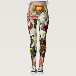 Orchids, Orchideae Denusblumen Ernst Haeckel  Leggings
