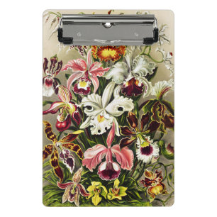 Orchids, Orchideae Denusblumen Ernst Haeckel Mini Clipboard