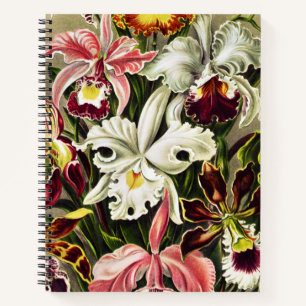 Orchids, Orchideae Denusblumen Ernst Haeckel Notebook