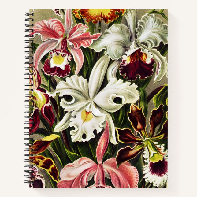 Orchids, Orchideae Denusblumen Ernst Haeckel Notebook (Front)